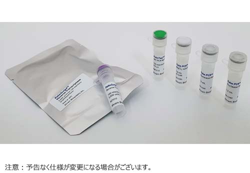 BM Palm PCR TMExpress One step qRT PCR Kit 試薬 BIO