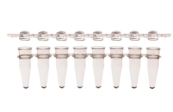 8連PCRチューブ & 8連チューブキャップ ドームタイプ セット クリア