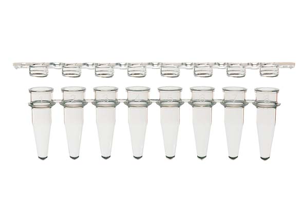 8連PCRチューブ & 8連チューブキャップ フラットタイプ セット クリア