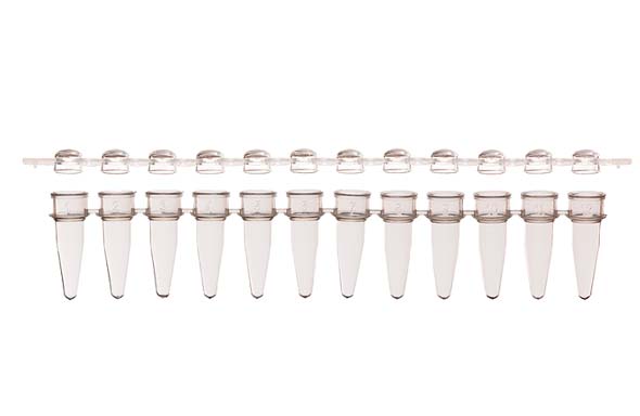 12連PCRチューブ & 12連チューブキャップ ドームタイプ セット クリア