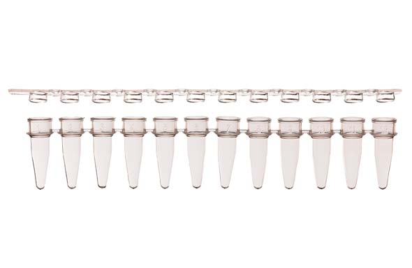 12連PCRチューブ & 12連チューブキャップ フラットタイプ セット クリア