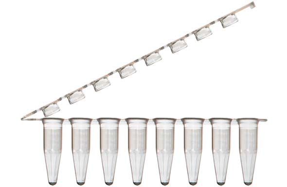 8連PCRチューブ & 8連チューブキャップ フラットタイプ ヒンジ付 クリア