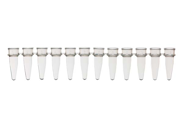 12連チューブ アソート