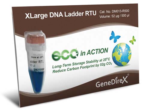 XLarge DNA ラダー 調製済み