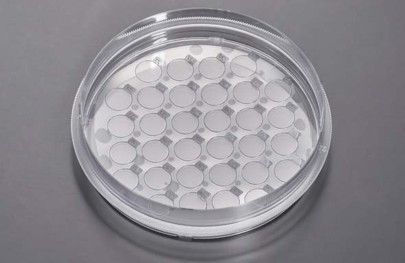 CellSLIPカバースリップ　100mmディッシュ　スリップ径10mm