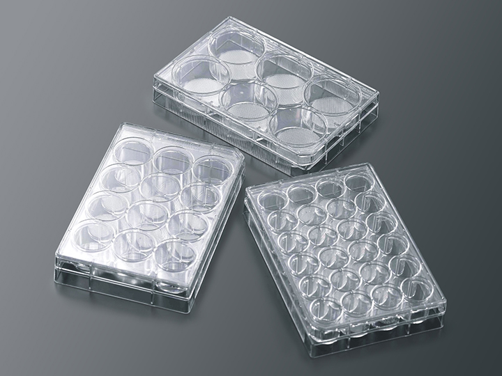 CellSCAFLD 3D細胞培養スキャフォールド　6ウェルプレート　接着細胞用