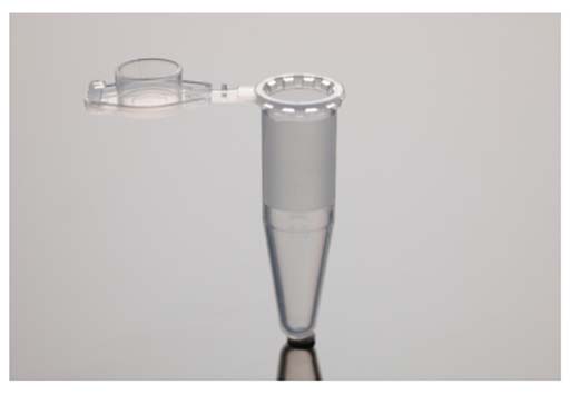 PCRチューブ　0.2mL 　フラットキャップ