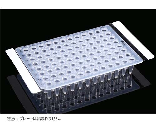 PCRプレート用シール, 146x81mm