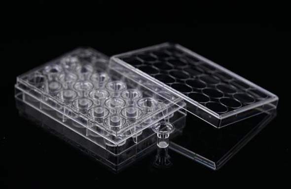 12 Cell Culture Inserts+24 Well Plate, 1 μm, PET Memberane,Non-Treated, Sterile, 12/pk, 120/cs