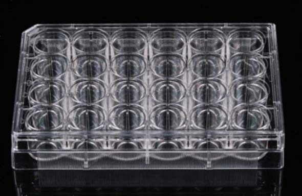 24ウェルガラスボトムカルチャープレート, 10 mm, ティッシュカルチャー, 滅菌
