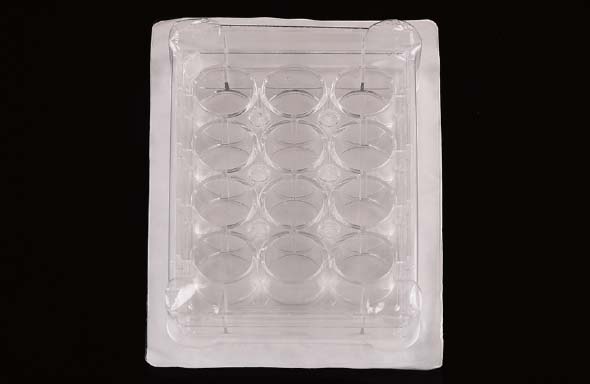 12 Well Cell Culture Plate, Flat, Non-Treated, Sterile