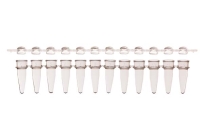 12連PCRチューブ & 12連チューブキャップ ドームタイプ セット クリア