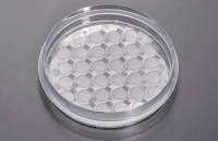 CellSLIPカバースリップ　100mmディッシュ　スリップ径10mm
