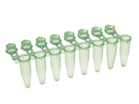 Amplitube(TM) PCR 8連チューブ&シングルロックドームキャップ 0.2ml グリーン