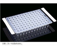 PCRプレート用シール, 146x81mm