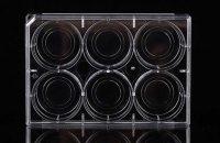6ウェルガラスボトムカルチャープレート, 20 mm, ティッシュカルチャー, 滅菌
