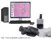 顕微鏡用カメラシステムFR-400X