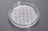 CellSLIPカバースリップ　60mmディッシュ　スリップ径8mm