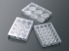 CellSCAFLD 3D細胞培養スキャフォールド　24ウェルプレート　接着細胞用