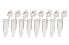 8連PCRチューブ ドームキャップ付 アソート