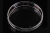 150 mm Cell Culture Dish, TC, Sterile