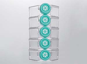 JET_Flask_5