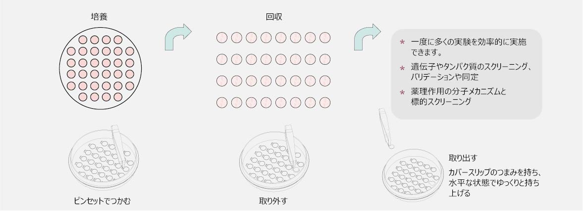 JET_dish_12