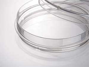 JET_dish_2