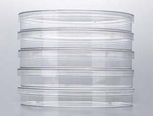 JET_dish_3
