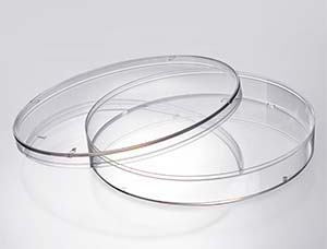 JET_dish_4