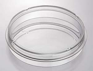 JET_dish_5