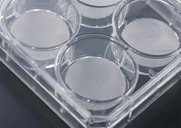JET_plate_11