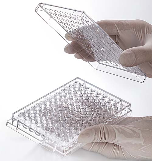 JET_plate_2