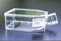 BM - 細胞培養フラスコ 25cm2 フィルターキャップ: ティッシュ